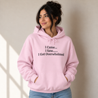 I Came I Saw I Got Overwhelmed Funny Hoodie